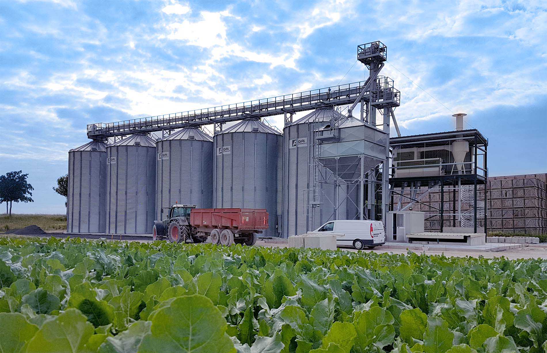 AGRICONSULT-stockage-grains-grain-ferme-cooperative